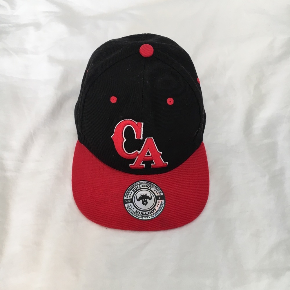 Bullbot CA hat